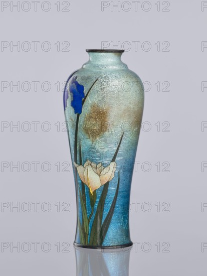 Vase by Miwa, Tomisaburô fl. ca late 19th–early 20th century. Cloisonné enamel elongated vase, Meiji period 1868–1912, early 20th century, Japan. Decoration: white and blue irises in the background; cranes engraved and polished in foil among plants, standing in water; foil covered with transparent enamel. Vessel; height 12.2 cm, diameter 5.1 cm., A tall vase with a rounded shoulder and narrow neck displayed against a plain pale background, featuring a textured surface in shades of turquoise, aqua, and blue that deepen toward the base; decorative floral motifs include a large blue petaled flower near the shoulder, a pale cream and yellow flower lower on the body, and a few long green leaves and stems reaching upward, along with areas of muted gold and brown mottling; the rim and base have darker edging and the vase sits on a reflective surface that shows a subtle mirrored image.