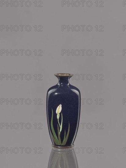 Vase, Ovoid cloisonné enamel vase with a short, thin, flared neck; dark blue background decorated with irises. Japan, ca. 1900 Meiji period, 1868–1912. Vessel; height 9.1 cm, diameter 4.3 cm., A dark blue glossy vase with a narrow flared neck and rounded shoulders sits centered against a plain gray background, decorated with a stylized white and pale yellow flower and green leaves on its front, and the vase casts a subtle reflection on the surface beneath it; visible colors include dark blue, white, pale yellow, green, gray, and hints of brown on the rim and base.