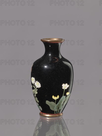 Vase with a short, flared neck, ca. 1890–1910 Meiji period, 1868–1912, Japan, Nagoya; cloisonné enamel; decorated with chrysanthemums and butterflies; height 12.1 cm, diameter 6.8 cm., A glossy black vase with a rounded body and a narrow neck sits against a plain gray background, decorated with painted pale yellow and white flowers and green leaves on its lower half, a thin band of metallic bronze around the rim and base, and a subtle reflection of the vase visible on the surface beneath it.