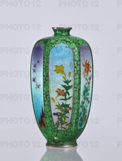 Vase, Elongated hexagonal cloisonné enamel vase with a narrow spout. Decoration: small, densely spaced floral rosettes, irises, butterflies and birds on a black background. Japanese, Meiji period 1868–1912, 19th–20th century. Materials: cloisonné enamel. Function: decorative vessel. Dimensions: height 12.5 cm; width 6.7 cm; depth 6.1 cm., A tall vase with a rounded body and narrow neck, decorated with a green background patterned with floral motifs and bordered vertical panels featuring painted botanical scenes; visible colors include green, blue, purple, yellow, orange, red, and touches of brown and silver.