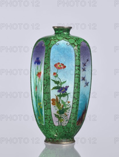 Vase, Elongated hexagonal cloisonné vase with a narrow spout. Decoration: small, densely spaced floral rosettes, irises, butterflies and birds on a black background. Japanese, Meiji period 1868–1912, 19th/20th century. Material: enamel cloisonné. Function: decorative vessel. Dimensions: height 12.5 cm; width 6.7 cm; depth 6.1 cm., A tall vase with a rounded body and a narrow neck, predominantly green with a textured floral pattern, featuring several vertical panels in shades of blue, purple, and aqua that contain painted floral and nature scenes; the panels show flowers in colors including red, orange, purple, and pink with green stems and leaves, and one panel includes small bird-like shapes in darker blue; the rim and base have metallic silver tones, and the overall background behind the vase is pale gray.