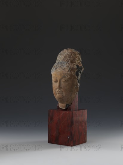 Head of Guanyin Bodhisattva, Polychrome-coated feldspar fragment of a statue with cube-shaped base of dark red marble. Chinese; Guanyin iconography; Qing style 1644–1911. 19th century. Sculpture; height 26.0 cm., A carved stone head with a serene expression sits upright on a rectangular reddish-brown marble base; the head shows weathered textures and patches of darker and lighter stone with visible rough areas on the crown and sides, and the face displays smooth, rounded features with closed eyes and a calm mouth. The base has a polished appearance with veining in darker reds and subtle areas of black and gray. The background is a gradient of dark gray at the top fading to a lighter gray near the bottom. The visible colors include brown, tan, dark gray, black, reddish-brown, and lighter gray.