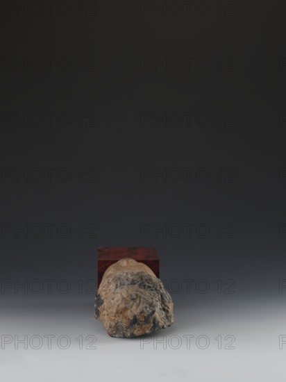 Head of Guanyin Bodhisattva, unknown creator; Chinese; Guanyin iconography; Qing style 1644–1911; fragment of a statue made of polychrome-coated feldspar with a cube-shaped base of dark red marble; 19th century; China; sculpture; height 26.0 cm, A roughly textured object with irregular contours sits near the bottom center, showing mottled tones of brown, tan, beige, and dark gray with areas of lighter beige highlighting raised surfaces; behind it is a rectangular block displaying deep reddish-brown and darker wood-like marbling; the background above transitions from dark gray near the top to a mid gray and then to a lighter gray at the bottom, with a smooth gradient across the scene.