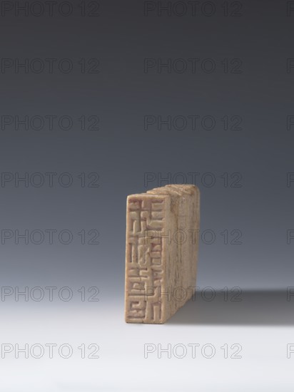 Seal stamp, bats iconography, lion iconography, arhat iconography, Chinese art, seal stamps, Chinese culture, Qing 1644–1911, Bas-relief decoration, 19th century, China, seal stamp; height 20.0 cm, width 9.3 cm, depth 2.9 cm, A small rectangular stone object stands upright on a smooth surface casting a shadow to the right, with a carved patterned face visible on its front; the object is various shades of beige and light brown with subtle darker brown lines and weathered texture, and the background transitions from pale gray at the bottom to deep charcoal gray at the top.