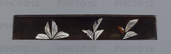 Lid, figural scenes, Chinese art, Chinese culture, Qing 1644–1911, trees, pines; lid made of black lacquer inlaid with mother-of-pearl, 19th century, China; height 1.7 cm, width 11.4 cm, depth 11.4 cm., A long dark brown rectangular object with a glossy surface showing a few white inlaid leaf shapes arranged across its face, each leaf marked with thin dark lines; there is also a small area of orange-brown near one of the leaf groups, and the background includes shades of dark brown and black with slight scuffs and scratches against a neutral gray backdrop.