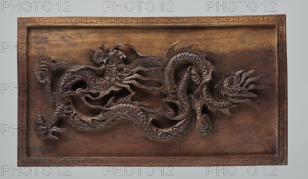Dragon panel; creator, Chinese; Chinese art; dragons iconography; Qing dynasty 1644–1911; fantasy animals, beasts; late 19th century; sculpture; height 27.0 cm, width 48.0 cm, A carved wooden panel featuring a long sinuous dragon in low relief that fills most of the central area; the dragon has a scaly body, flowing mane-like details, curled claws, and a stylized head with layered, petal-like elements. The panel is framed by a decorative carved border and rests against a plain light gray background. The wood shows a range of brown tones from warm medium brown to darker, reddish-brown in the carved areas, with some lighter, slightly golden-brown highlights on the flat surface.