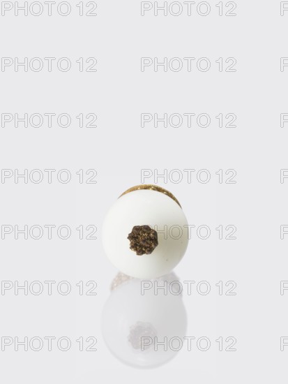 Button for a semi-official cap of a sixth-ranking official. Glass milky-white ball mounted on a pin with a dome decorated with rosettes. 19th century, Qing 1644–1911, China. Function: clothing/jewelry; materials: glass; height 6.4 cm, diameter 3.2 cm., A white spherical object with a textured brown/gold cluster on one side sits against a very light gray background, with a subtle reflection of the sphere and the brown/gold cluster visible below it; colors visible include white, brown, gold, light gray, and a hint of darker gray.