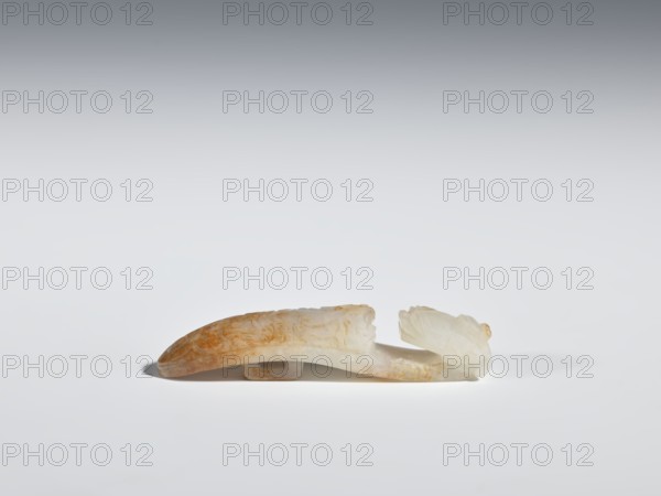 Belt clasp, lizards, Chinese, Chinese art, Qing 1644–1911, dragon motif, 19th century, China, decoration; height 6.2 cm, width 1.4 cm., A carved stone object rests on a smooth surface, showing a long, slightly curved form with a rounded end and a sculpted open section at the other end; the carving displays a mix of pale white and warm brown-orange tones with translucent areas, and subtle carved lines and shallow relief creating textured patterns; soft shadows fall beneath the object and the background is a gradient of light gray to off-white.