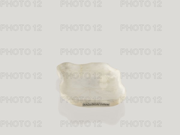 Ink vessel, Chinese, Qing dynasty 1644–1911, 18th–19th century. Painted decoration of lotuses and calligraphy; used as a painting implement. Vessel; height 0.7 cm, width 6.8 cm, depth 4.6 cm., A shallow, irregularly shaped dish with smooth, rounded edges sits on a light surface, appearing to be made of a translucent, glossy material. The dish shows a range of pale colors including off-white, cream, and faint yellowish tones, with subtle veining and slightly darker shadowed areas. A small rounded protrusion rises from the interior surface of the dish, and the dish casts a soft shadow and reflection on the surface beneath it.