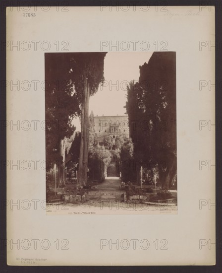Tivoli. Villa d'Este, general view from the garden; unknown photographer; Anderson Rome; photographic and publishing company publisher; architecture; foreign architecture; Italy; Italian architecture; Rome; gardens; villas; Villa d'Este Tivoli; print glued across the entire surface to cardboard backing; ca. 1890; Tivoli; photography; nature photography; photographic print: height 20.3 cm, width 26.1 cm; cardboard: height 32.0 cm, width 48.0 cm, A sepia-toned photograph mounted on a cream-colored matte shows a tree-lined garden path leading toward a large multi-story building partially visible in the background. Tall, dark trees frame both sides of the path, creating a vertical corridor with lighter foliage and shrubs along the ground. Stone steps and terraces appear midway and near the foreground, with low stone walls and rectangular stone features flanking the walkway. The building in the distance has a rectangular facade with multiple windows and a central balcony area. The overall p...