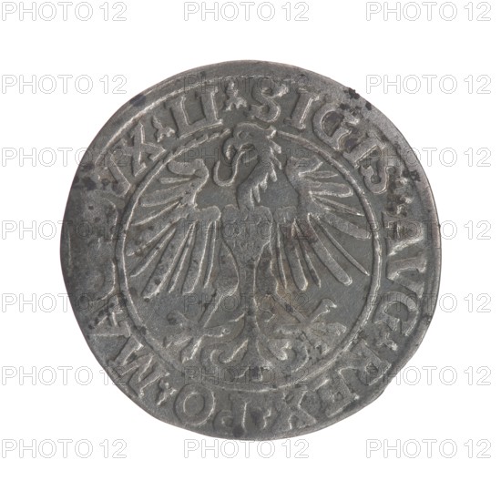 Lithuanian half-grosz, Sigismund II Augustus King of Poland; 1544–1572. Obverse: Polish Eagle; in the rim between pearly borders the inscription: .SIGIS.AVG.REX.PO.MAGDVX.LI. Reverse: Lithuanian Pogon; below the year 1548; in the rim between pearly borders the inscription: .MONETA.MAGNI.DVCAT9.LITVA. 1548. Grand Duchy of Lithuania; Vilnius mint. Coin., A round metal coin with a worn surface showing a raised design of a stylized bird with outstretched wings at the center, surrounded by a circular border and an outer ring of raised shapes along the edge; the coin displays varying shades of gray and silver with darker gray spots and patches of discoloration.
