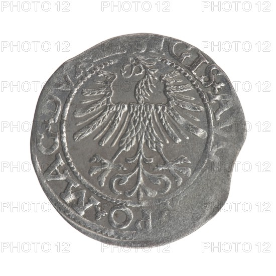 Lithuanian half-grosz, Sigismund II Augustus King of Poland; 1544–1572. Obverse: Polish eagle; in the rim between pearly borders the inscription: . IGIS.AVG ... PO.MAG.DVX.. Reverse: Lithuanian Pogon mounted knight; below the year 1562; in the rim between pearly borders the inscription: ...... MAGNI.DVCAT9.LITV. 1562. Jagiellon dynasty; Polish–Lithuanian coin; Vilnius mint; Grand Duchy of Lithuania., A close-up image of a round metallic coin with a raised double-headed eagle motif in the center, surrounded by a decorative circular border; the coin appears silver-gray with darker gray shadows and lighter silvery highlights, showing worn and uneven edges and subtle surface scratches; the design includes ornate feathering and curved decorative elements within the inner circle, and the outer rim shows raised sections of lettering that are not described here.