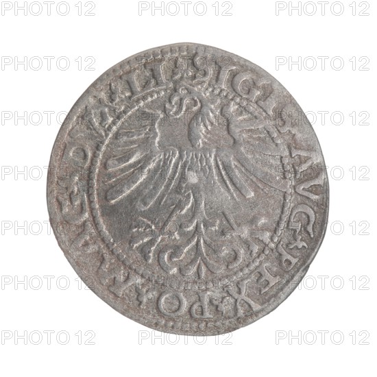 Lithuanian half-grosz, Sigismund II Augustus King of Poland; 1544–1572 ; Tarlo, Gabriel ca. 1486–1565, mint manager; coats of arms: Jagiellons, Polish Eagle, Pogon Lithuania. Obverse: Polish Eagle, in rim between pearl-shaped borders an inscription: .SIGIS.AVG.REX.PO.MAG.DVX.LI. Reverse: Lithuanian Pogon, below the year 1563, in rim between pearl-shaped borders an inscription divided by the Axe coat of arms: .MONETA.MAGNI - DVCAT.LITV. 1563. Grand Duchy of Lithuania; Vilnius; coin., A round metal coin with a worn surface showing a raised double-headed bird motif in the center surrounded by a decorative border and raised edge; the coin appears mainly gray and silver with areas of darker gray and subtle brownish tones, and its surface shows scratches and uneven patina.