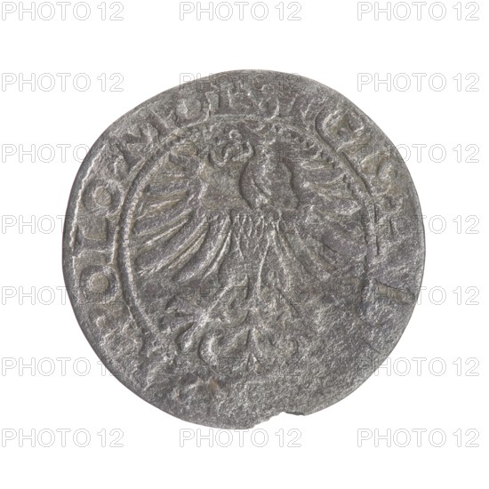 Lithuanian half-grosz, Sigismund II Augustus King of Poland; 1544–1572. Maker/co-creator: Tarlo, Gabriel ca. 1486–1565 — mint manager. Materials/typology: coin half-grosz. Obverse: Polish Eagle; in the rim between pearly borders the inscription .SIGIS.AVG....X.POLO.MDL. Reverse: Lithuanian Pogon; below the year 1565; in the rim between pearly borders the inscription .MONETA.MAG...CAT.LITV. Date: 1565. Place of minting: Vilnius, Grand Duchy of Lithuania, Poland. Diameter: 19.5–20.0 mm. Weight: 0.94 g. Coats of arms: Jagiellons; eagle; Pogon., A single round coin with a worn, textured surface showing an embossed bird with outstretched wings in the center, surrounded by a raised circular border and decorative motifs; the coin appears in shades of gray and silver with areas of darker gray patina and slight unevenness along the rim.