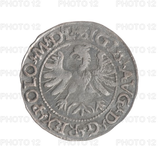 Lithuanian half-grosz, Sigismund II Augustus King of Poland; 1544–1572 ; Myszkowski, Stanislaw ?-1570 ; coats of arms: Jagiellons, eagles, Pogon Lithuania. Obverse: Polish Eagle; in rim between pearl borders inscription: .SIGIS.AVG.DGREX.POLO.MDL. Reverse: Lithuanian Pogon; below, year 15-66; in rim between pearl borders inscription divided by the Jastrzebiec coat of arms: .MONETA.MAG-DVCAT.LITV. 1566. Grand Duchy of Lithuania; Tykocin mint; Poland. Coin., A single round metal coin seen from above showing an embossed double-headed bird motif in the center and a raised decorative rim with embossed characters around the edge; the coin surface has a worn, textured appearance with visible scratches and irregularities. The colors visible are shades of gray and muted silver with slight darker gray areas where shadows and wear occur.