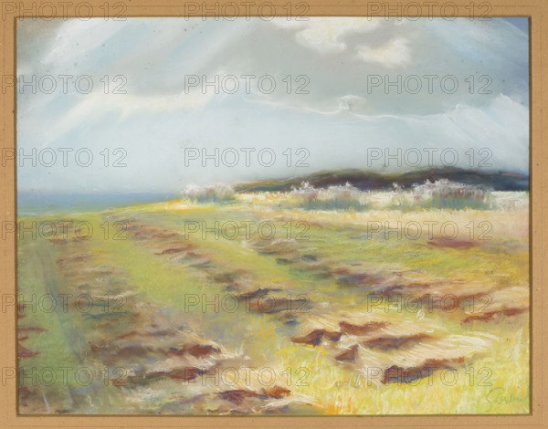 Landscape with Harvested Wheat, Debicki, Stanislaw 1866-1924 painter, waterside landscapes, Poland culture, harvest, landscapes, summer, ca. 1887 - 1890, pastel, A pastel landscape showing a grassy field with a few patches of darker brown and reddish earth, a group of pale yellow and light green grasses in the foreground, and a softer band of green and yellow vegetation stretching toward a distant darker ridge; above this a pale blue and gray sky with soft white clouds and streaks of light, and a hint of blue water along the horizon. The visible colors include green, yellow, brown, reddish-brown, pale blue, gray, white, and a touch of darker blue.