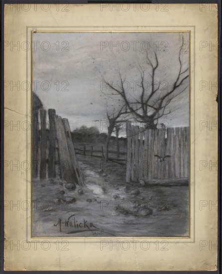 From Cloudy Autumn Days, Walicka, Maria fl. 1898 painter, autumn landscapes, Czarnocki, T. Warsaw - setting, autumn, landscapes, Poland culture, Polish drawings, 1898, drawing, A grayscale scene shows a muddy path strewn with scattered stones leading between two weathered wooden fences, with a tilted gateboard on one side and a taller fence panel on the other; leafless trees with gnarled branches rise behind the fences against a cloudy sky, and a fence post and distant hedgerow are visible further back, all rendered in shades of gray, black, and muted white with subtle variations in tone.