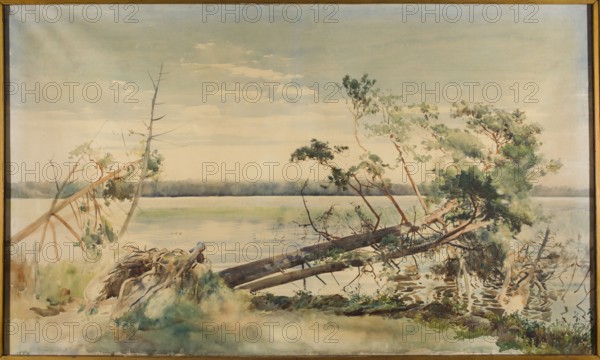 Switez, Falat, Julian 1853–1929 painter; Switez Belarus; lake; ; lakes, pines, landscapes, plants, trees, water landscapes; watercolor, drawing; ca. 1883–1884; height 75 cm, width 124.7 cm, A landscape painting showing a shoreline scene with a pale blue and gray sky above calm water that reflects soft greens and beiges. In the foreground a fallen tree with exposed roots and a few leaning trunks stretches across the edge of the water, its bark rendered in browns and muted grays with green foliage clusters. Several standing and leaning trees with thin trunks and sparse leaves appear in shades of green and brown. The distant horizon features a low, dark band of treeline in deep gray-green. The shoreline and grassy areas show washes of green, brown, and sandy beige, and there are soft watercolor ripples in the water near the trees. The overall palette includes pale blue, gray, green, brown, and beige.
