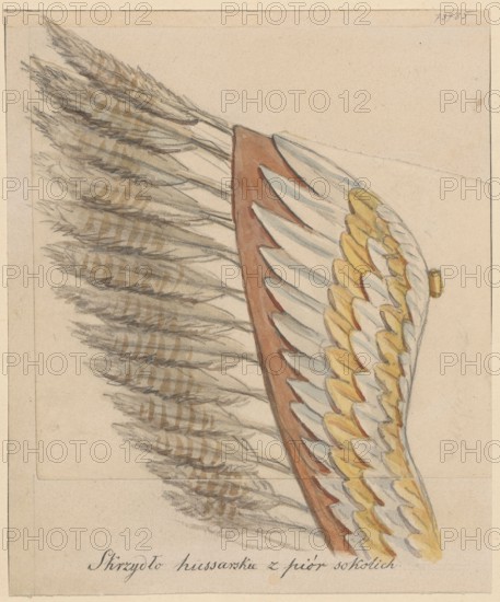 Fragment of a wing from a hussar regiment; drawing glued with the entire surface onto paper of similar dimensions, which is glued with the upper edge on cardboard; ink or drawing medium on paper; dated 1830–1884; height 18.1 cm, width 15.1 cm drawing; cardboard: height 35.8 cm, width 25.9 cm; depicts militaria: hussar wings/knights' armor; creator: Aleksander Lesser 1814–1884., The image shows a detailed drawing of a large wing with layered feathers fanning outward, featuring a central curved section with alternating rows of pale grayish-white and muted yellow feathers edged in light brown, and a bordering strip in reddish-brown; beyond this are several longer, narrow feathers in shades of brown and gray with striped patterns, all rendered on a beige background with visible pencil and watercolor strokes.
