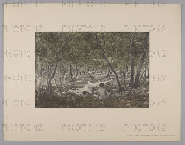 Karst Landscape; Ernst Arnold maker, 1895; engraved by Karl Mediz 1868–1945; published by Wilhelm Hoffmann AG Dresdner Druck- und Verlagshaus; German graphics; graphics/graphic print; graphic portfolio; subject: landscapes and male nudes; medium: engraving/print; dimensions: height 26.4 cm, width 39.6 cm; style/place: Dresden; restitution provenance., A framed scene shows a shaded wooded area with a dense canopy of green leaves and a forest floor of brown tones; several slender tree trunks and branches in gray and dark brown create a tunnel-like perspective leading toward the background, where more trees and dappled light are visible. In the foreground, a group of two nude figures with pale skin tones sit and recline among the leaf litter; the figures are surrounded by roots and scattered lighter colored stones. The overall palette includes greens, browns, grays, pale skin tones, and touches of muted beige from the surrounding mat.