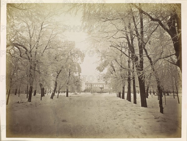Warsaw. The Saxon Garden in Winter, Brandel, Konrad 1838–1920 photographer, ca. 1885, photography, photographic print glued across the entire surface to cardboard; print: 21 × 27.3 cm, support: 31.8 × 43.8 cm. Subjects: Warsaw Masovian Voivodeship, Saxon Garden, Saxon Palace, gardens, parks, winter, snow., A wide, snowy path runs toward a distant large building framed by rows of tall trees on both sides, their bare branches and twigs coated with frost. The ground is covered in snow with uneven footprints and drifts along the edges. Trees with dark trunks create vertical contrasts against the pale snow and sky, and some leaning branches arch over the path. The scene is dominated by muted tones of white, off-white, beige, light gray, and dark brown.