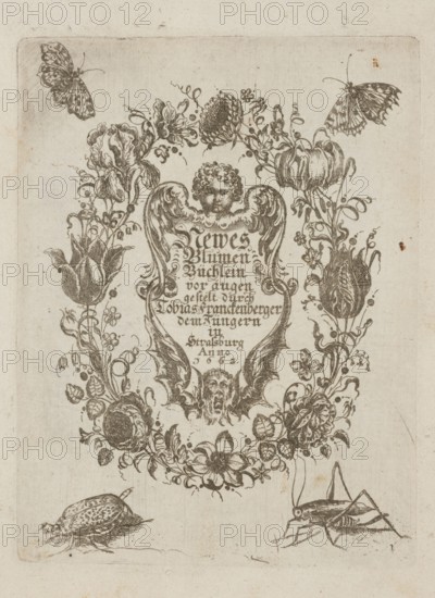 Frontispis, Tobias Frankenberger 1627–1664, engraver; German; frontispieces; flowers; Strasbourg, Alsace; pattern book; insects grasshoppers, butterflies, beetles; winged putti; albums; garlands ornament; botany; decoration patterns; masks; French graphics; 1662; album; height 14.6 cm, width 11.1 cm, The image shows an ornate monochrome illustration on a pale beige background featuring a central decorative cartouche flanked by floral garlands and leaves, with a cherubic face at the top of the cartouche and winged bat-like motifs near the lower center; a variety of stylized flowers and curling vines form an oval wreath around the central element, with several butterflies near the top corners and a beetle-like insect and a grasshopper-like insect near the bottom edge.