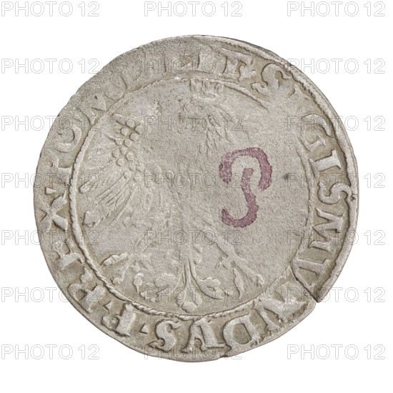 Lithuanian grosz, Sigismund I the Old (king of Poland; 1506–1548). Obverse: Polish crowned eagle; in the rim between pearl borders an inscription beginning with a trefoil: . SIGISMVNDVS.P.REX.P. Reverse: Pursuit (Pogon) turned left, below year 15 - 3, in the rim between pearl borders an inscription beginning with a trefoil, divided at the bottom by a shield with the Columns' coat of arms: + MON, TA.MAGNI -, VS.LI, 1535. Jagiellon dynasty; coats of arms, eagles. Minted in Vilnius, Grand Duchy of Lithuania, Poland. Coin; dia. 26.0–26.3 mm; weight 2.37 g; rarity R8.