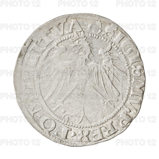 Lithuanian grosz of Sigismund I the Old (King of Poland, 1506–1548). Obverse: Crowned Polish eagle; rim inscription SIGISMV.P.REX.PO.MDLITVA between pearl-shaped borders. Reverse: Pogon (Lithuanian mounted knight) turned left; under the horse on the right the letter M and below the year 1536 (inscribed as 1.3.6.); rim inscription MONETA.MAG.DVCA.LITVA divided at the bottom by the Columns' coat of arms. Grand Duchy of Lithuania; struck in Vilnius. Coin; diameter ~26.2–26.8 mm; weight 2.22 g.