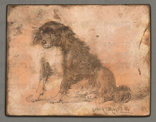 Sitting Dog; Plonski, Michal (1778–1812), graphic artist; animal studies; dogs; 1802; Amsterdam; graphic; graphic matrix/plate; height 6.2 cm; width 8 cm