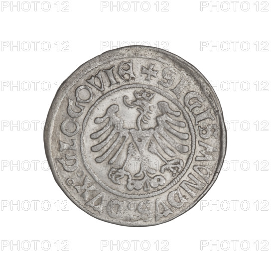 Glogów grosz, Sigismund I the Old (king of Poland; 1506–1548). Obv.: Polish eagle, inscription divided in the rim; at the top a cross: SIGISMUNDUS:DUX:GLOGOVIE. Rev.: Pogon (coat of arms), below it the date 1506. Around the rim an inscription divided at the top by a cross: KAZIMIRI R:POLONIE:NATUS. R2, 1506. Glogów, Poland; coin; diameter 25.0 mm; weight 2.25 g; motifs: horses, eagles, claws, wings.