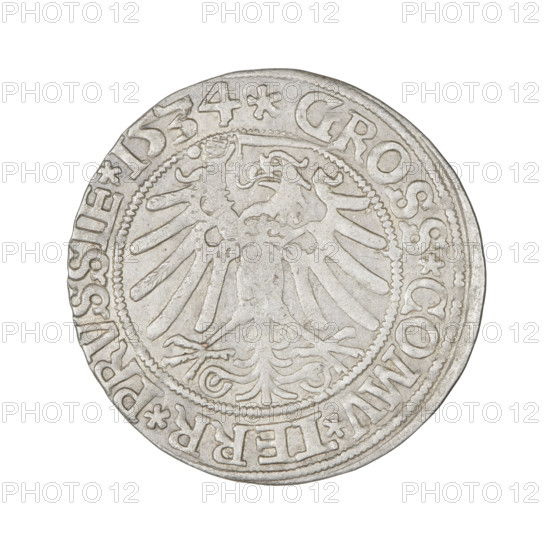 Prussian grosz, Sigismund I the Old (King of Poland; 1506–1548), R1 (rarity). Obverse: Crowned male bust in profile turned to the right; in rim between pearly borders inscription: .SIGIS.I.REX.PO.DO.TOCI.PRVSSIE. Reverse: The Eagle of Royal Prussia; in rim between pearl borders inscription: .GROSS.COMV.TERR.PRVSSIE. 1534. Poland, Torun. Coin; diameter 23.2–23.7 mm; weight 1.9 g. Subjects: eagles, coats of arms, eagle (coat of arms), male/royal bust; Jagiellonians (dynasty); Sigismund I the Old — iconography.