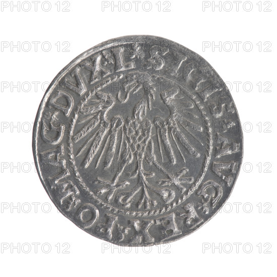 Lithuanian half-grosz, Sigismund II Augustus (King of Poland; 1544–1572), good condition, R3 rarity; emblems of the Jagiellons dynasty; Polish coins; motifs: Eagle (obverse) and Pogon (Lithuanian emblem, reverse). Obv.: Polish Eagle; rim inscription between pearly borders: .SIGIS.AVG.REX.PO.MAG.DVX.L. Rev.: Lithuanian Pogon; year 1546 below; rim inscription between pearly borders: .MONETA.MAGNI.DVCAT9.LITV. Dated 1546, Grand Duchy of Lithuania (Vilnius). Coin, diameter ~19.6–20.0 mm, weight 1.22 g.