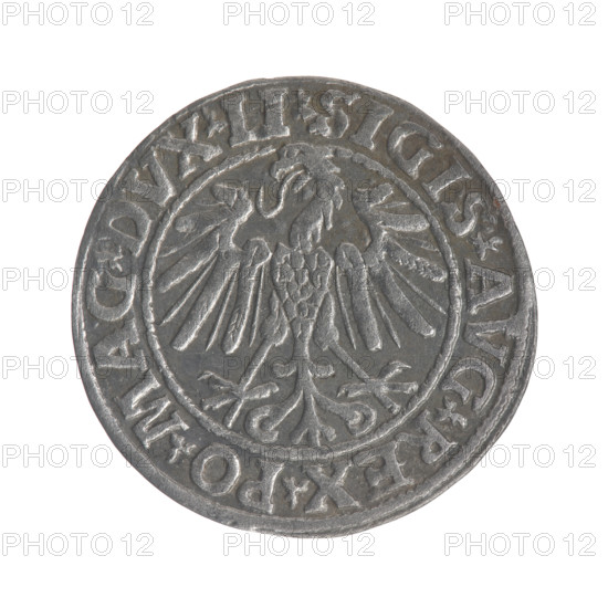 Lithuanian half-grosz, Sigismund II Augustus (King of Poland; 1544–1572), very good condition, rarity R1. Obverse: Polish Eagle; in the rim between pearl borders the inscription '.SIGIS.AVG.REX.PO.MAG.DVX.LI'. Reverse: Lithuanian Pogon; below the year '1547'; in the rim between pearl borders the inscription '.MONETA.MAGNI.DVCAT9.LITVA'. 1547. Grand Duchy of Lithuania, Vilnius. Coin (Polish), diameter ~19.8–20.0 mm, weight 1.11 g.