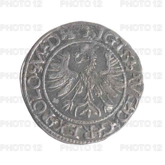 Lithuanian half-grosz, Sigismund II Augustus (King of Poland; 1544–1572); Myszkowski, Stanislaw (?-1570); emblems of the Jagiellons dynasty. Obverse: Polish eagle; in the rim between pearl-shaped borders an inscription: GIS.AVG.DGREX.POLO.MD. Reverse: Lithuanian Pogon; below, year 15-66; in the rim between pearl-shaped borders an inscription divided by the Jastrzebiec coat of arms: .MONETA.MAG-DVCAT.LITV. Dated 1566. Grand Duchy of Lithuania, Tykocin, Poland. Coin, diameter ca. 19.0–19.5 mm, weight 1.28 g.