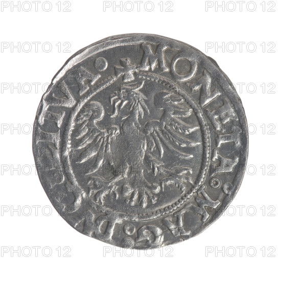 Lithuanian half-grosz, Sigismund II Augustus (King of Poland; 1544–1572), good condition; obverse: Lithuanian Pogon, below year 1545, in the rim between pearly borders the inscription '.SIGIS.AVG.REX.POL.MDL'; reverse: Polish Eagle, in the rim between pearly borders the inscription '.MONETA.MAG.DVC.LITVA', 1545; features coats of arms (Jagiellons), eagles; Grand Duchy of Lithuania, Vilnius, Poland; coin; diameter 19.7–20.0 mm; weight 1.23 g.