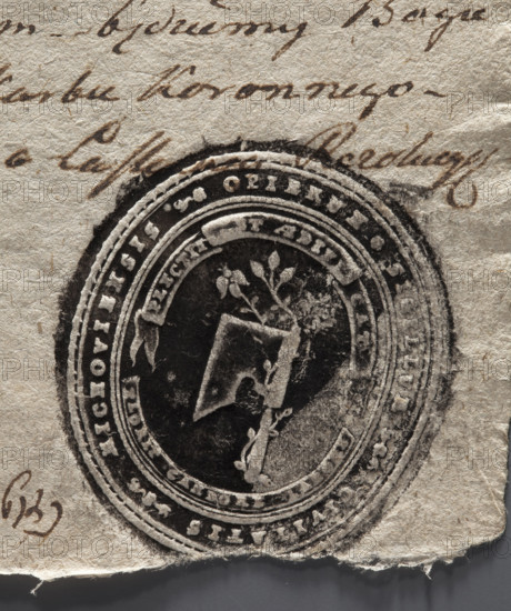 Oval print of the seal of the town of Miechów. Axe with a rose branch entwined around the axe handle. On the sash: PLECTIT / ET ADIFI / CAT // FLORET CANDORE LABORE. Around the rim: OPIEKUN . SIGILLUM . CIVITATIS . MICHOVIENSIS, 1794. Poland. Seal. Dimensions: 41 mm × 43 mm.