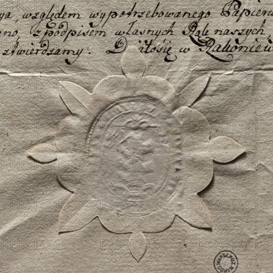 Oval seal impression of the town of Rakoniewice. In the central field, a tree trunk with knots pierced by a sword on the right diagonal; chipped coat of arms of Nieczuja. Illegible rim inscription (SIGILLVM CIVITATIS 1662 FREISTAD). 1783, Poland. Seal; dimensions 1.34 mm × 2.41 mm.