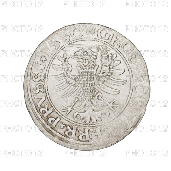 Prussian grosz, Sigismund I the Old (King of Poland; 1506–1548), 1530. Obverse: Crowned male bust in profile turned to the right; in the rim between pearl-shaped borders an inscription: .SI, .R, .PO.DO.TOCI.PRVSS. Reverse: Eagle of Royal Prussia; in the rim between pearl-shaped borders an inscription: .GROS, ERR.PRVSSI. Material: coin. Place: Torun, Poland. Subjects/emblems: eagles, royal bust, Jagiellonian dynasty, emblems; iconography of Sigismund I the Old.