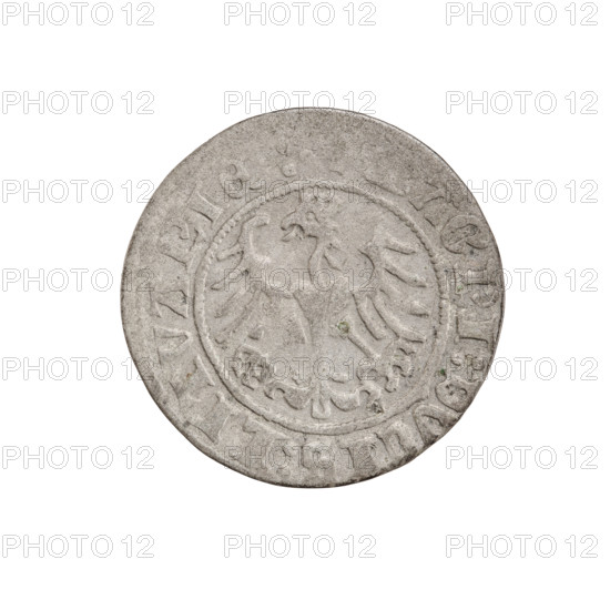 Lithuanian half-grosz, Sigismund I the Old (King of Poland; 1506–1548). Obverse: Pogon (Lithuanian coat of arms) turned left; in the rim between pearl borders an inscription: + COIN:SIGISMVNDI:1510:. Reverse: Polish crowned eagle; in the rim between pearl borders an inscription: AGNI:DVCIS:LITVANIE.:. Date: 1510. Grand Duchy of Lithuania, Vilnius. Coin; diameter ~19.7–20.0 mm; weight 1.13 g.