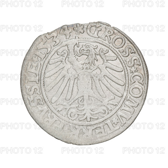 Prussian grosz, Sigismund I the Old (King of Poland; 1506–1548); silver coin (grosz), 1534. Obverse: Crowned royal bust of Sigismund I in profile facing right; rim inscription: .SIGIS.I.REX.PO.DO.TOCI.PRVSSIE. Reverse: Eagle of Royal Prussia; rim inscription: .GROSS.COMV.TERR.PRVSSIE. Motifs: eagles, royal/male bust, Jagiellonian dynasty emblems; iconography of Sigismund I. Location struck: Torun, Poland.