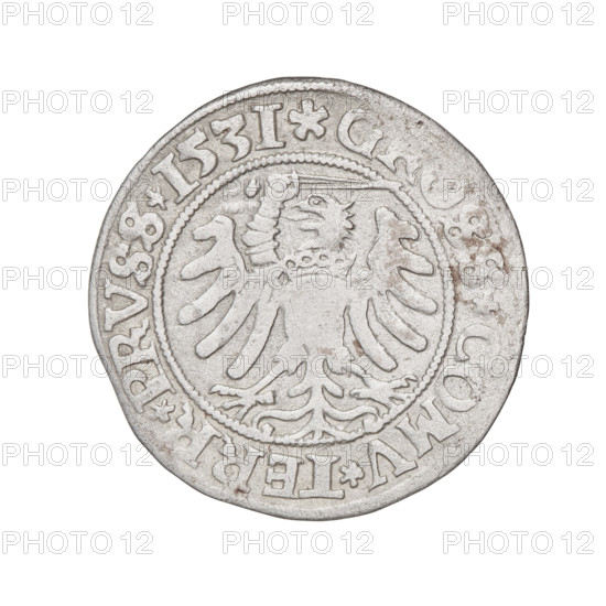 Prussian grosz, Sigismund I the Old (King of Poland; 1506–1548). Obverse: Crowned male bust in profile turned to the right, in the rim between pearl borders an inscription: .SIGIS, EX.PO.DO.TOCI.PRVS. Reverse: The Eagle of Royal Prussia, in the rim between the pearl borders the inscription: G.S.COMV.TERR.PRVSS. 1531. Torun, Poland; coin.
