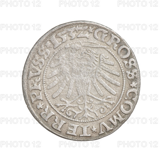 Prussian grosz, Sigismund I the Old (King of Poland; 1506–1548). Obverse: crowned male bust in profile turned to the right, in the rim between pearl borders an inscription: .SIGIS.I.REX.PO.DO.TOCI.PRVS. Reverse: the Eagle of Royal Prussia, in the rim between the pearl borders the inscription: .GROSS.COMV.TERR.PRVSS.153Z. 1532; Torun, Poland. Subjects/attributes: eagles, Polish coins, Jagiellonian dynasty, emblems, eagle emblem, male/royal bust, Sigismund I the Old — iconography.