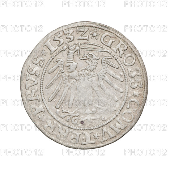 Prussian grosz, Sigismund I the Old (King of Poland; 1506–1548). Obverse: Crowned male bust in profile turned to the right; in the rim between pearl borders an inscription: .SIGIS.I.REX.PO.DO.TOCI.PRVS. Reverse: The Eagle of Royal Prussia; in the rim between the pearl borders the inscription: .GROSS.COMV.TERR.PRVSS.153Z. 1532. Materials/medium: coin. Subject/keywords: eagles, Polish coins, Jagiellonians (dynasty), emblems, Eagle (emblem), male/royal bust, Sigismund I the Old — iconography. Place: Torun, Poland.