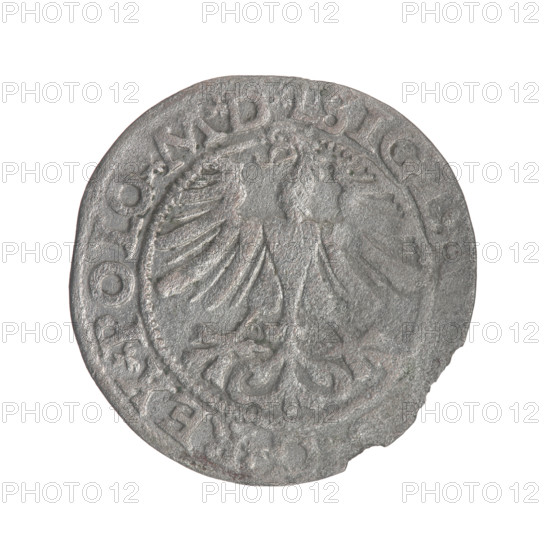 Lithuanian half-grosz, Sigismund II Augustus (King of Poland; 1544–1572). Obverse: Polish eagle; in the rim between the pearl borders the inscription 'SIGIS.REX.POLO.MDL'. Reverse: Lithuanian Pursuit (Pogon), below the year 1565; in the rim between the pearl borders an inscription divided by the axe coat of arms: 'MONETA.MAGNI - LITV'. Maker: Tarlo, Gabriel (ca. 1486–1565). Coats of arms: Jagiellons, eagles. Date: 1565. Function: coin. Place: Grand Duchy of Lithuania (Vilnius), Poland.