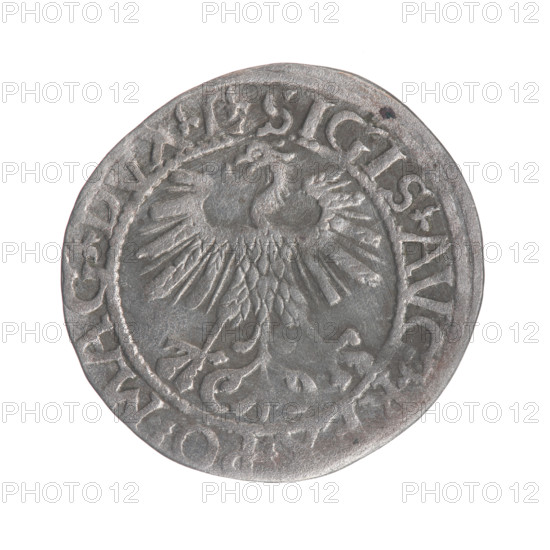 Lithuanian half-grosz, Sigismund II Augustus (King of Poland; 1544–1572). Obverse: Polish Eagle with rim inscription between pearly borders: .SIGIS.AVG., O.MAG.DVX.L. Reverse: Lithuanian Pogon with the year 1561 below and rim inscription between pearly borders: .MONE, MAGNI.DVCAT9.LITVA. Coats of arms: Jagiellons dynasty; motifs: eagles and Pogon. Minted 1561, Grand Duchy of Lithuania, Vilnius, Poland.