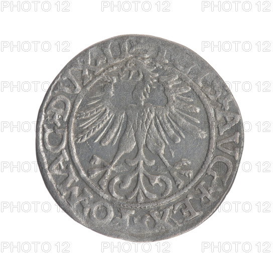 Lithuanian half-grosz, Sigismund II Augustus (King of Poland; 1544–1572); coats of arms; Jagiellon dynasty; Polish coins; eagles; Eagle (coat of arms); Pogon (coat of arms; Lithuania). Obverse: Polish Eagle; in the rim between pearly borders the inscription: IS.AVG.REX.PO.MAG.DVX.L. Reverse: Lithuanian Pogon; below the year 1561; in the rim between pearly borders the inscription: .MO, TA.MAGNI.DV, .LITV. 1561. Coin from Vilnius, Grand Duchy of Lithuania (Poland–Lithuania).