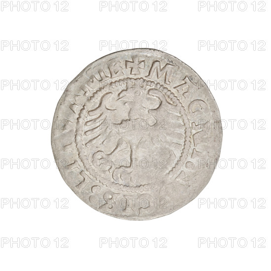Lithuanian half-grosz, Sigismund I the Old (king of Poland; 1506–1548). R6 (rarity). Obverse: Pogon turned left; in the rim between pearl borders an inscription: + COIN, VNDI:15Z3:. Reverse: Polish Eagle with a crown; in the rim between pearl borders an inscription: + MAGNI, CIS:LI, NIE, 1523. Grand Duchy of Lithuania, Vilnius, Poland. Coin; weight 1.2 g; diameter ~19.8–20.0 mm.