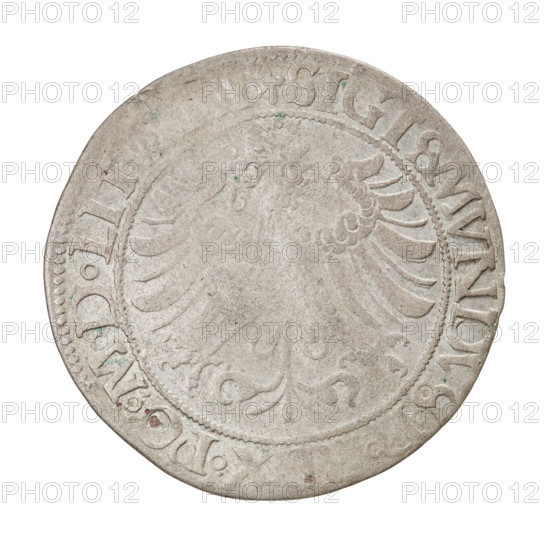 Lithuanian grosz, Sigismund I the Old (king of Poland; 1506–1548). Obverse: Polish eagle with a crown; in the rim between pearl borders an inscription beginning with a trefoil: . SIGISMVNDVS.P., PO.MDLITV.ANI]. Reverse: Pursuit (Pogonia) turned left, below year 15 - 35, in the rim between pearl borders an inscription beginning with a trefoil, divided at the bottom by a shield with the Column coat of arms: ., TA.MAGNI. -, CATVS.LITVAN, 1535. Jagiellon dynasty; emblems: eagles, Pursuit (Lithuania). Poland, Grand Duchy of Lithuania, Vilnius. Coin; diameter ~25.8–26.5 mm; weight 2.3 g., A round, worn coin with a raised design of a stylized bird with outstretched wings in the center, surrounded by a beaded inner border and a rim; the coin surface is mostly grayish silver with areas of darker gray toning and a few small greenish and reddish spots, and the edges show slight irregularities and wear.