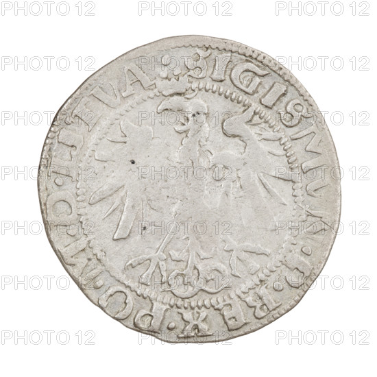 Lithuanian grosz, Sigismund I the Old (King of Poland; 1506–1548). Obverse: Polish eagle with a crown; in the rim between pearl-shaped borders an inscription: . SIGISMVN.P.REX.PO.MDLITVA. Reverse: Pogon (mounted knight) turned left, below year 1536; in the rim between pearl-shaped borders an inscription beginning with a trefoil, divided at the bottom by the Columns of Gediminas coat of arms: . MONETA.MAG - DVCA.LITV. 1536. Grand Duchy of Lithuania, Vilnius. Coin; diameter 25.2–25.8 mm; weight 2.29 g. R8 (rarity). Subjects/attributes: eagles; coats of arms; Jagiellonians (dynasty).