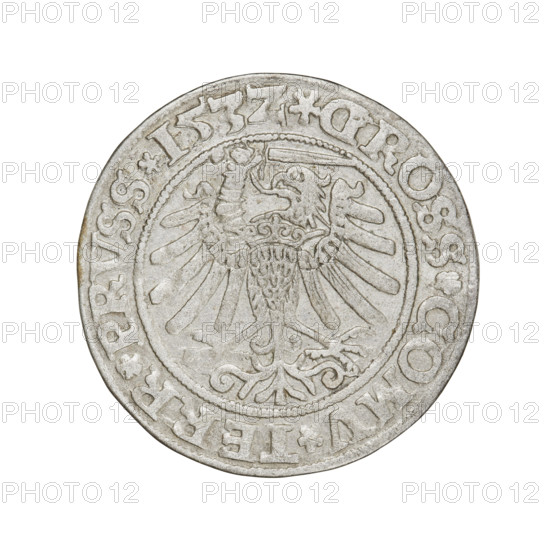 Prussian grosz of Sigismund I the Old (King of Poland; 1506–1548). Obverse: Crowned male bust in profile turned to the right; in the rim between pearly borders the inscription: .SIGIS.I.REX.PO.DO.TOCI.PRVSSI. Reverse: The Eagle of Royal Prussia; in the rim between the pearl borders the inscription: .GROSS.COMV.TERR.PRVSS.153Z. Date: 1532. Mint: Torun, Poland. Coin; diameter 23.3 mm; weight 1.97 g.